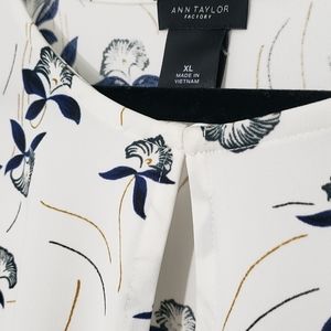 Ann Taylor LOFT ruffle blouse